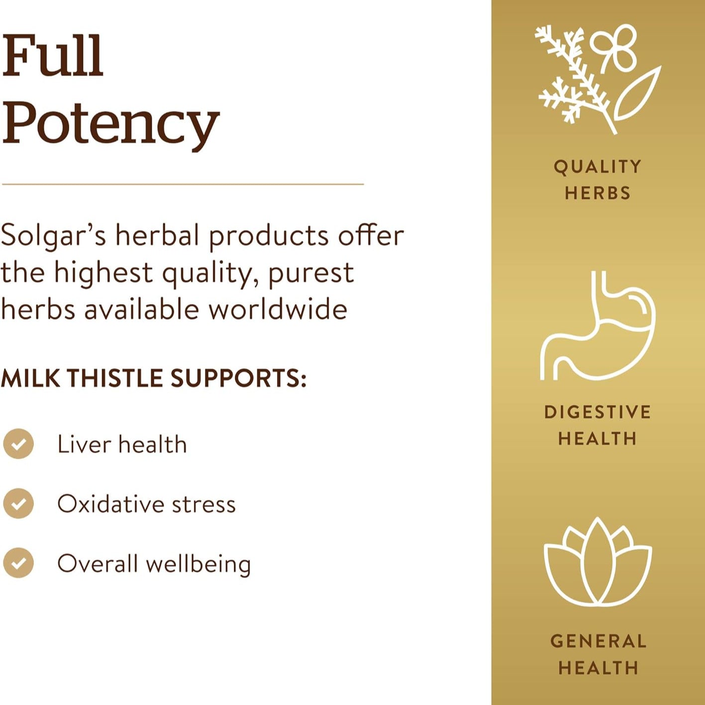 Solgar - Milk Thistle (Silybum Marianum, 100 mg, 250 veggie caps